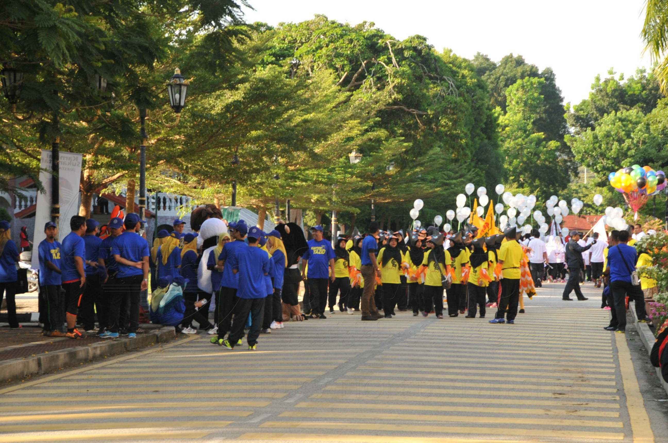 PRO 15 53 KIESTA HAS 3399